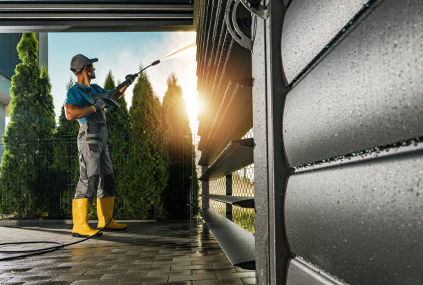 Best Driveway Pressure Washing  in Lipatria, CA